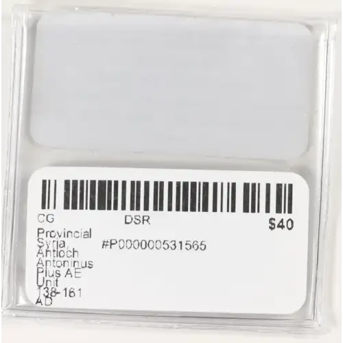 Ancient Roman Coin (3)