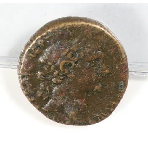 Ancient Roman Coin (2)