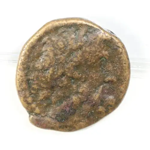 Ancient Roman Coin