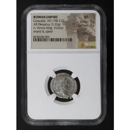 Ancient Roman Coin (3)