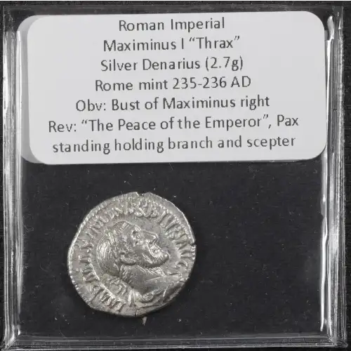 Ancient Roman Coin (4)