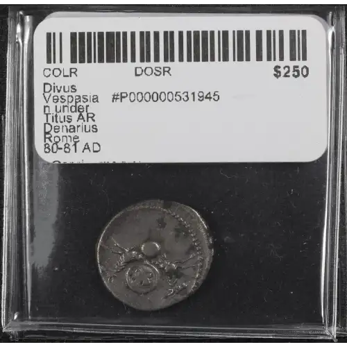 Ancient Roman Coin (2)