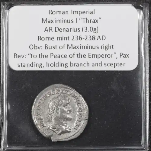 Ancient Roman Coin (2)