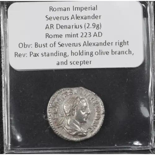 Ancient Roman Coin (3)