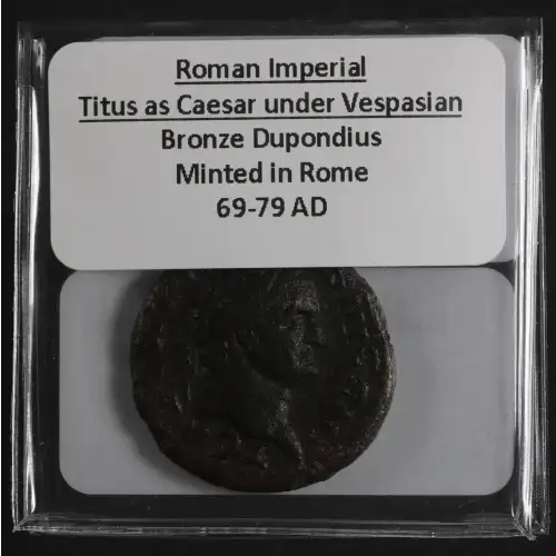Ancient Roman Coin (3)