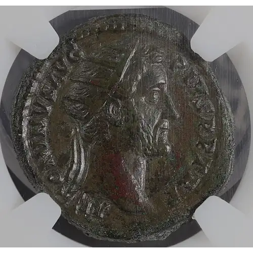 Ancient Roman Coin (2)