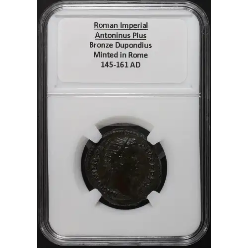 Ancient Roman Coin (3)