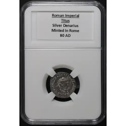 Ancient Roman Coin (3)
