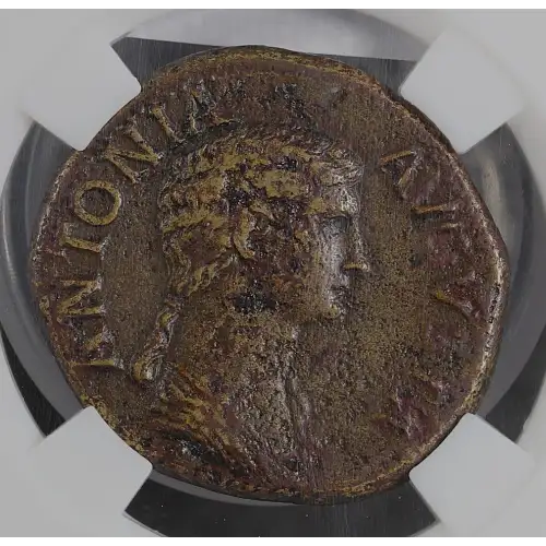 Ancient Roman Coin