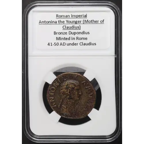 Ancient Roman Coin (3)