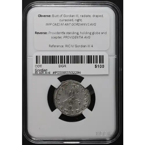 Ancient Roman Coin (4)