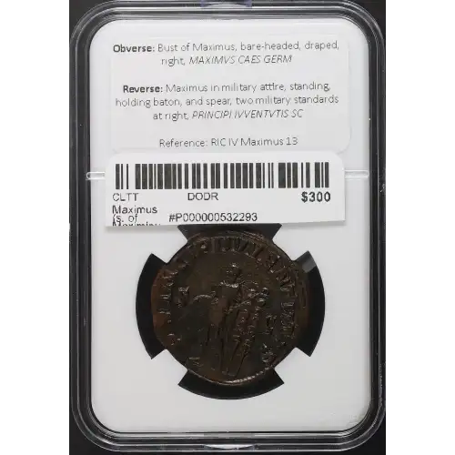 Ancient Roman Coin (4)