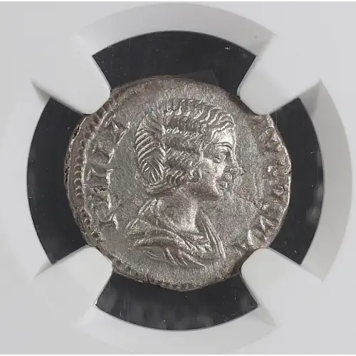 Ancient Roman Coin