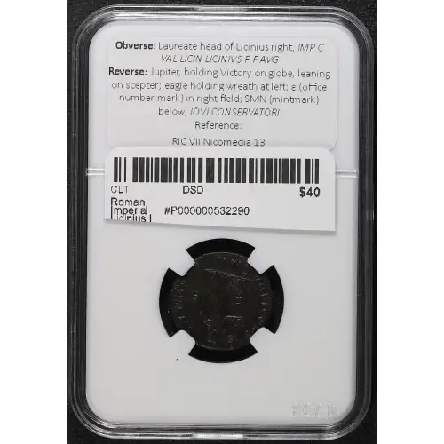Ancient Roman Coin (4)