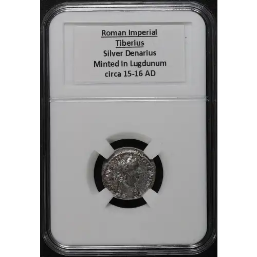 Ancient Roman Coin (3)