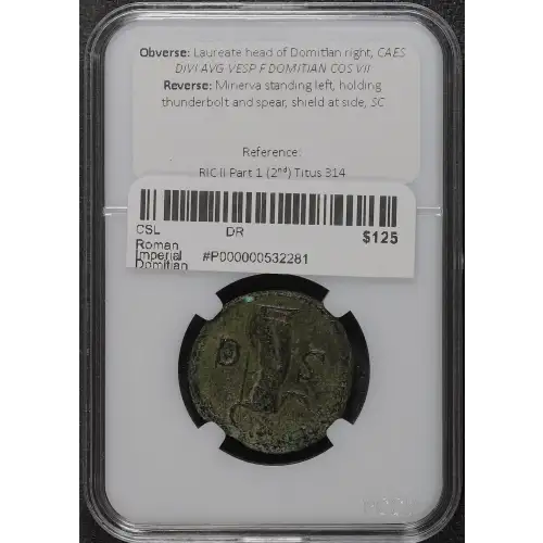 Ancient Roman Coin (4)