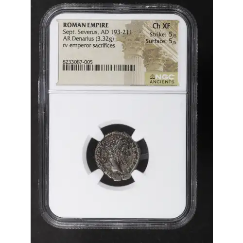 Ancient Roman Coin