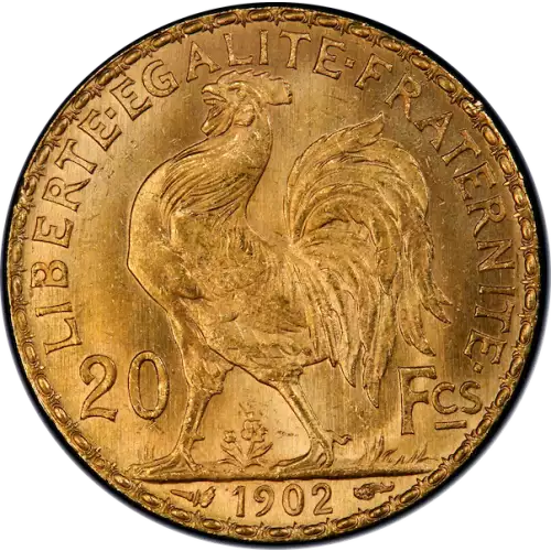 Any Year Gold French 20 Franc (6)