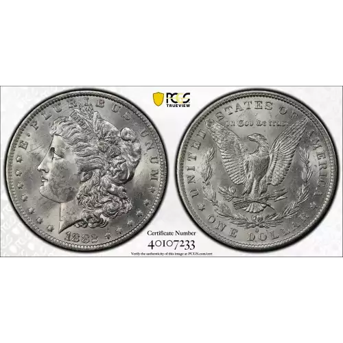 Morgan Silver Dollar (2)