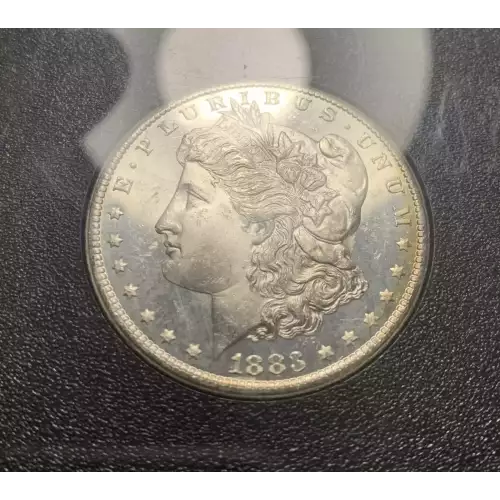 Morgan Silver Dollar (4)