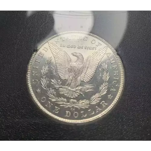 Morgan Silver Dollar (5)