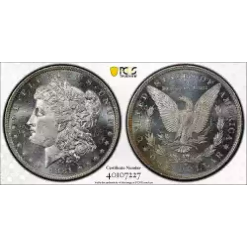 Morgan Silver Dollar