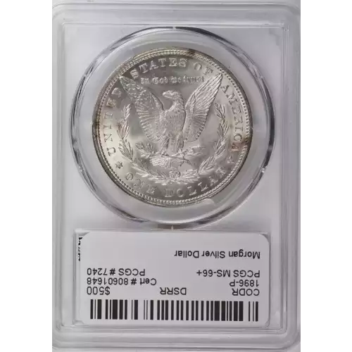 Morgan Silver Dollar (2)