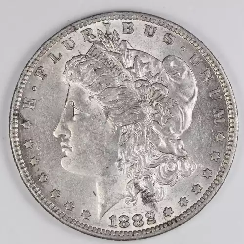 Morgan Silver Dollar (2)