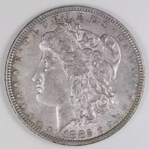 Morgan Silver Dollar (2)