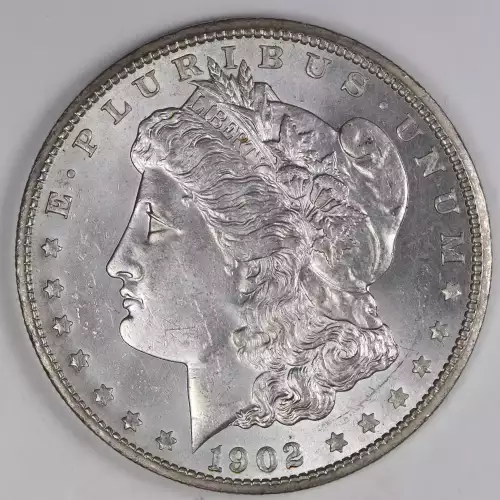 Morgan Silver Dollar