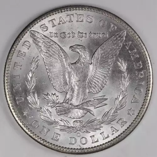 Morgan Silver Dollar (2)