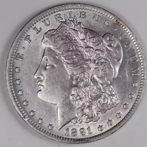 Morgan Silver Dollar