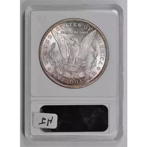 Morgan Silver Dollar (2)