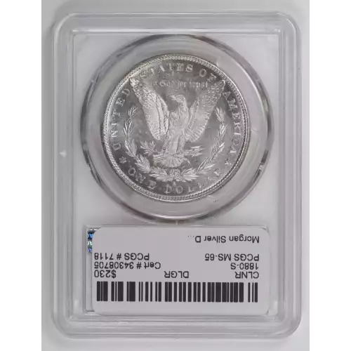 Morgan Silver Dollar (2)