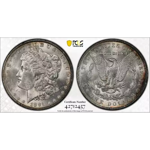 Morgan Silver Dollar