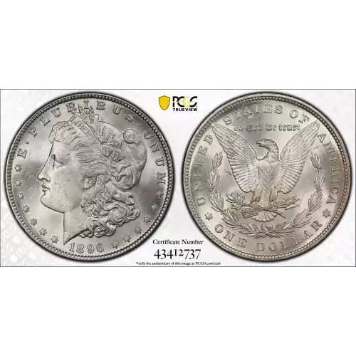 Morgan Silver Dollar