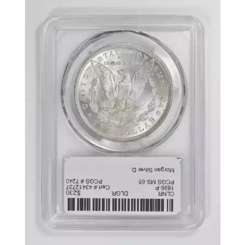 Morgan Silver Dollar (3)