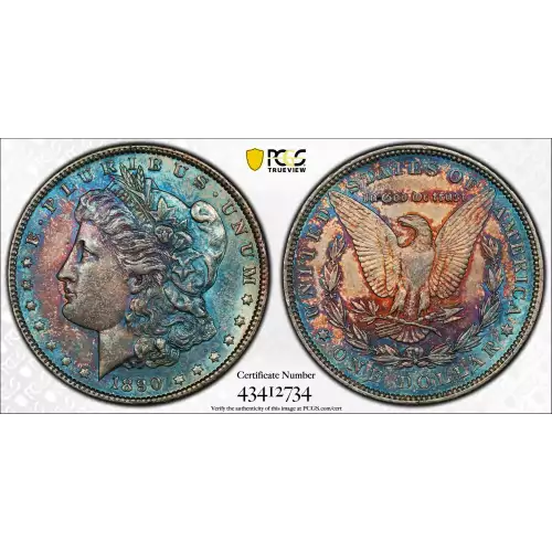 Morgan Silver Dollar