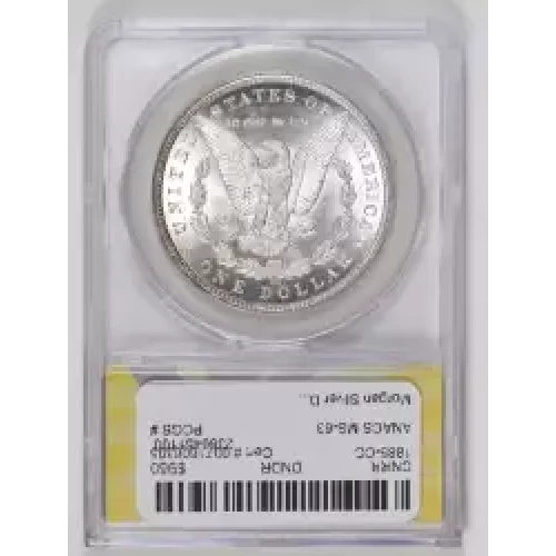 Morgan Silver Dollar (2)