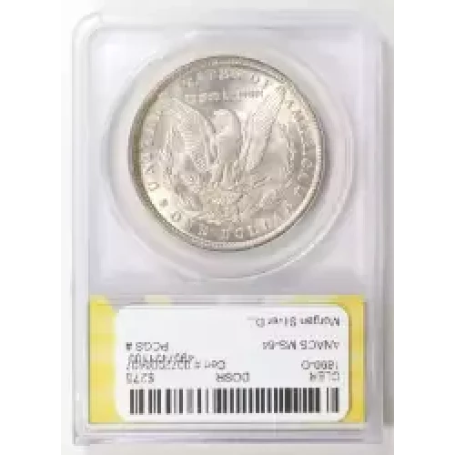 Morgan Silver Dollar (2)