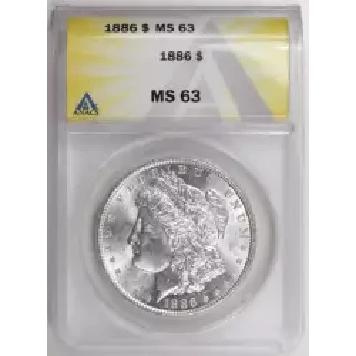 Morgan Silver Dollar (2)