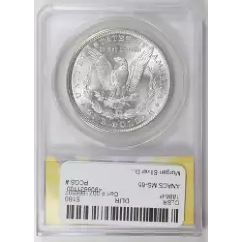 Morgan Silver Dollar (2)