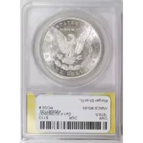 Morgan Silver Dollar