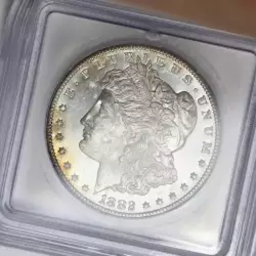 Morgan Silver Dollar (2)