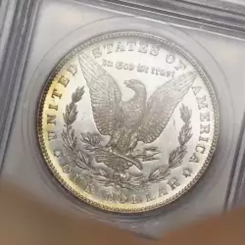 Morgan Silver Dollar