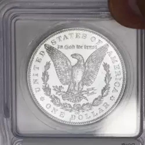 Morgan Silver Dollar (2)
