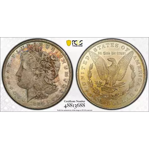 Morgan Silver Dollar (2)