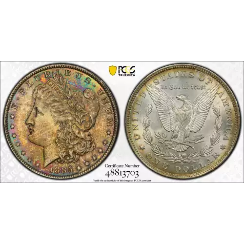 Morgan Silver Dollar