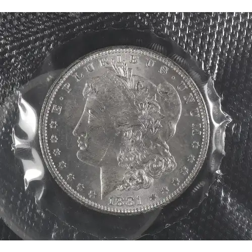 Morgan Silver Dollar (2)