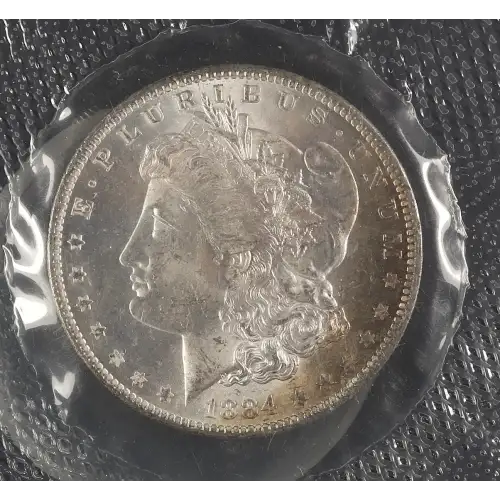 Morgan Silver Dollar (2)